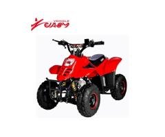 YB110 110cc Gasoline ATV Quad Bike