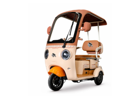 Raymon Passenger Leisure Electric Tricycle 0132