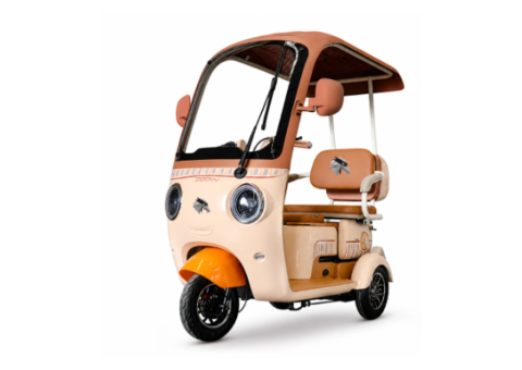 Raymon Passenger Leisure Electric Tricycle 0132 - 2/2