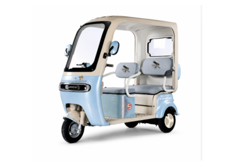 Raymon Passenger Leisure Electric Tricycle 0134