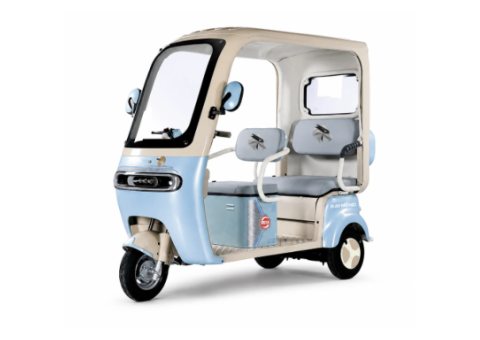 Raymon Passenger Leisure Electric Tricycle 0134 - 2/2