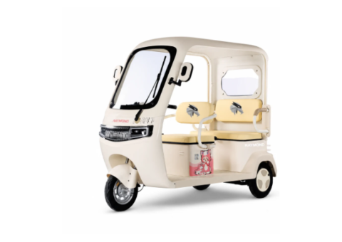 Raymon Passenger Leisure Electric Tricycle 0143