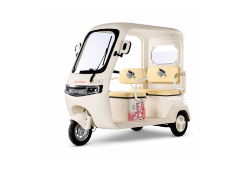 Raymon Passenger Leisure Electric Tricycle 0143 - 2/2