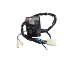 Handle Bar Switch – Throttle Switch Set