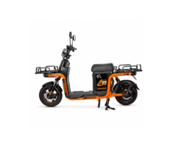 Raymon Motorcycle-Style Electric Tricycle 0081