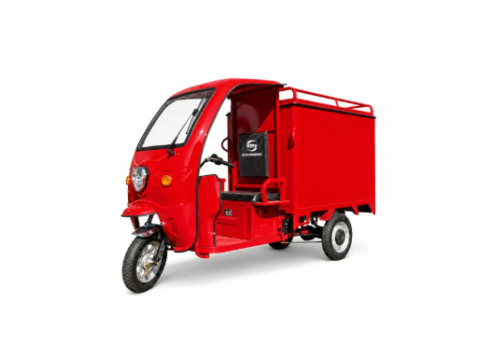 Raymon Enclosed Cargo EV 0064