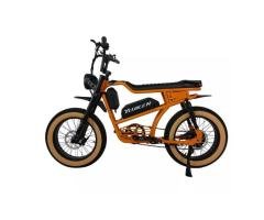 YC-UM-05 Fat Tire Electric Bike