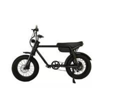 YC-UM-042 500W Electric Bike