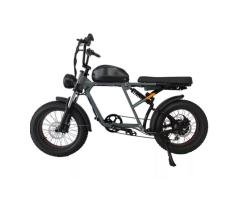 YC-UM-041 750W Fat Tire Electric Bike