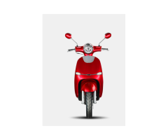 Cruise ZN50QT-Y 50CC Gas Scooter