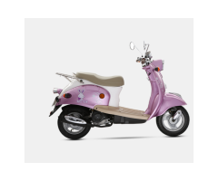 Snail ZN50QT-A 50CC Gas Scooter