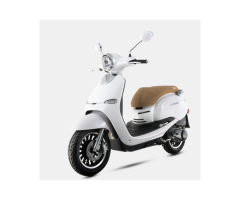 Cruise ZN125T-Y 125CC Gas Scooter