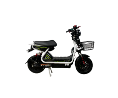 High-Tech E-Bikes JK with Powerful 800W Motor