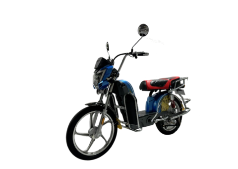 Heavy-Duty Cargo Electric Bike TFB-IV for Business - 1/3