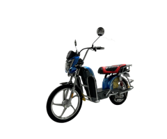 Heavy-Duty Cargo Electric Bike TFB-IV for Business