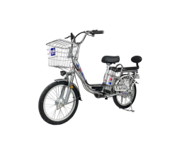 Electric Bikes with Throttle and Pedal Assist