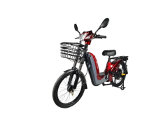 Assist Hybrid Electric Bike for Family Use
