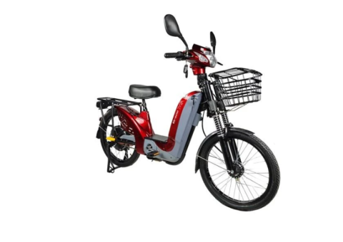 Assist Hybrid Electric Bike for Family Use - 3/3
