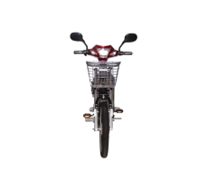 Cargo Long Seat Electric Bike for Family Use
