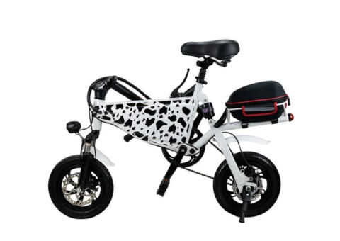 Pocket Electric Bike 350W - 2/5