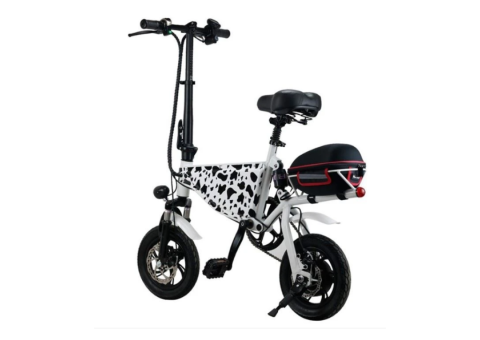 Pocket Electric Bike 350W - 3/5