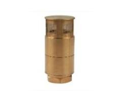 TDW-Copper Foot Valve