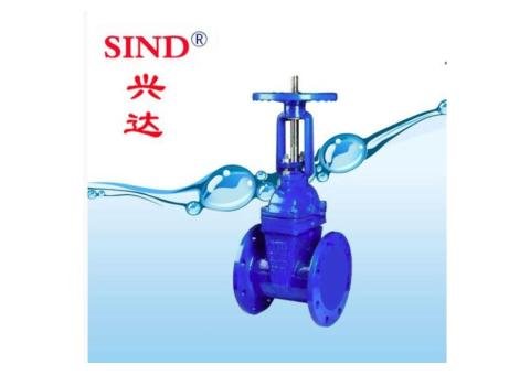 Rising stem soft seal gate valve - 2/2
