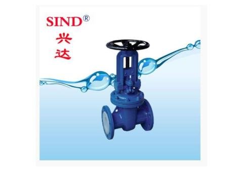 Fluorine-lined gate valve - 2/2