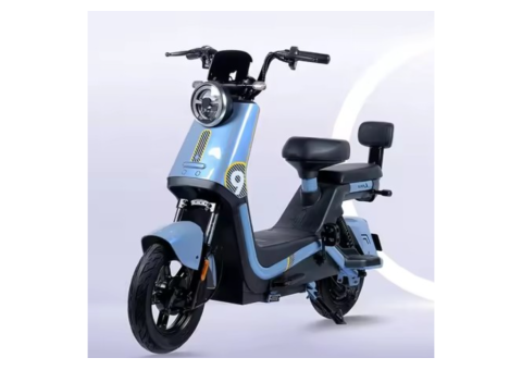 Guanku Electric Bike