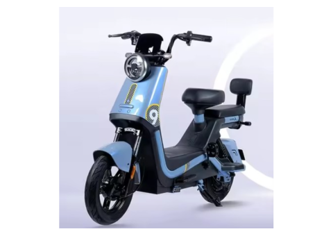 Guanku Electric Bike - 2/2