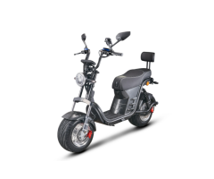 M1-S Electric Scooter