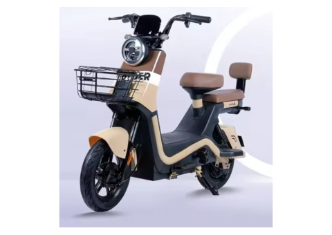 Guanku 2704 Electric Bike