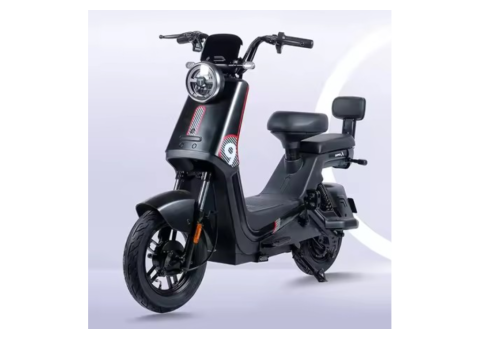 Guanku 1714 Electric Bike