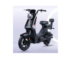 Guanku 1714 Electric Bike