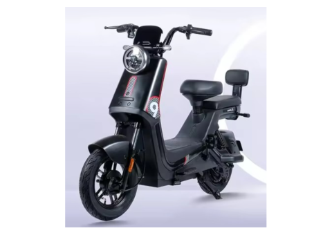 Guanku 1714 Electric Bike - 2/2