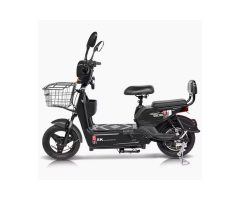 JINYING 2390 Electric Bike