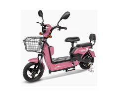 JINYING 1738 Electric Bike