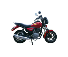 Adult Single-Cylinder 125cc Street Bike