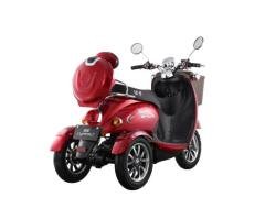 Electric Vehicle