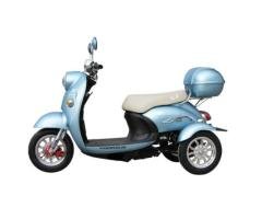 Electric Vehicle