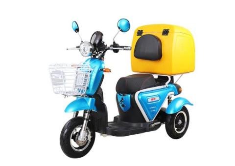 Electric Vehicle