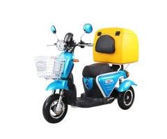 Electric Vehicle