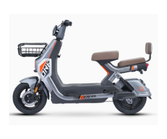 HUNTER Electric Bike