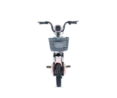 GENIUS E-Bike