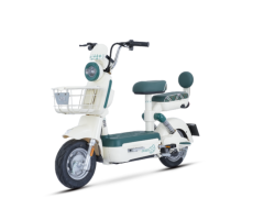 YOGA Electric Bike