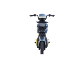 WARRIOR High-Performance Electric Bike