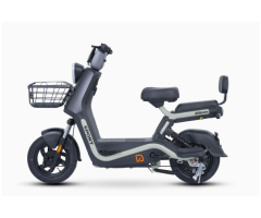 CHEETAH Sport Electric Bike