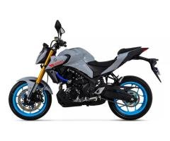 250CC Gasoline Sport Naked Motorcycle – ABS