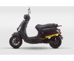 BRAVO Adult Electric Scooter