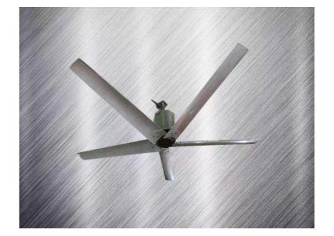 Large Ceiling Fan